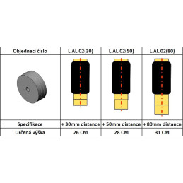 AL-KO 02 (2002-2007) kotoučové brzdy, náprava skrz šasi - vzduchové pérování DUNLOP