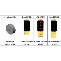 AL-KO 02 (2002-2007) kotoučové brzdy, dvojnáprava skrz šasi - vzduchové pérování DUNLOP