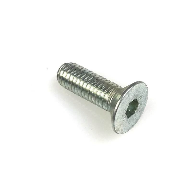 Šroub imbus záp. M8x25 7991 8,8 zn