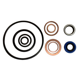Sada těsnění k hydraulické pumpě P25SDA1